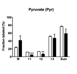 Toxoplasma research figure